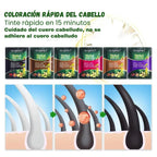 Champú Tinte Natural Base de Hierbas | Cubre Canas Rápidamente | 6 Colores | Tico-Trendy