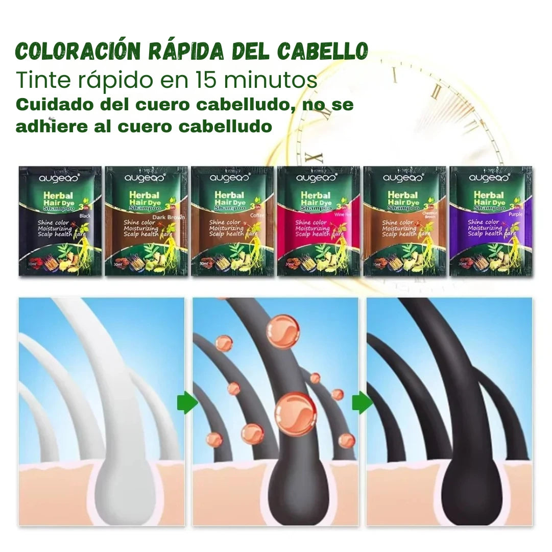 Champú Tinte Natural Base de Hierbas | Cubre Canas Rápidamente | 6 Colores | Tico-Trendy
