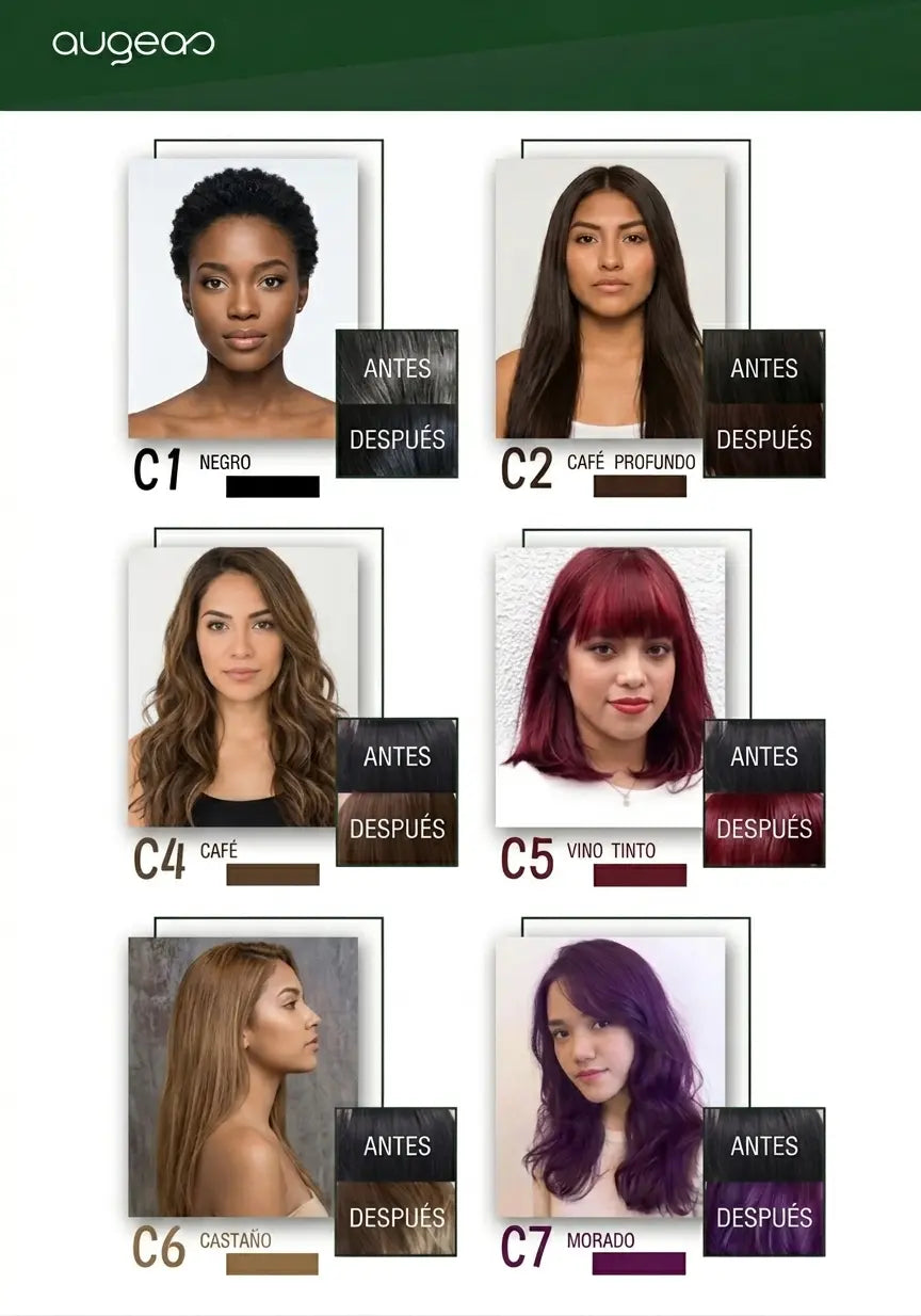 Champú Tinte Natural Base de Hierbas | Cubre Canas Rápidamente | 6 Colores | Tico-Trendy