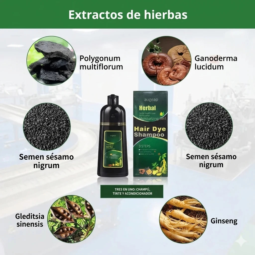 Champú Tinte Natural Base de Hierbas | Cubre Canas Rápidamente | 6 Colores | Tico-Trendy