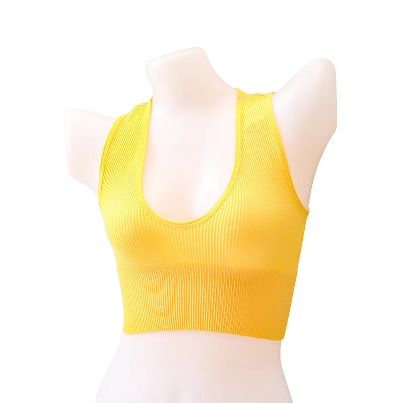 Top Corto Deportivo Sin Costuras | Bralette Inmersión | Manga Sisa | Ticotrendy