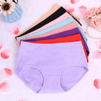 3 Paquete Bragas Talla Grande | Algodón Sin Costuras | Tico Trendy