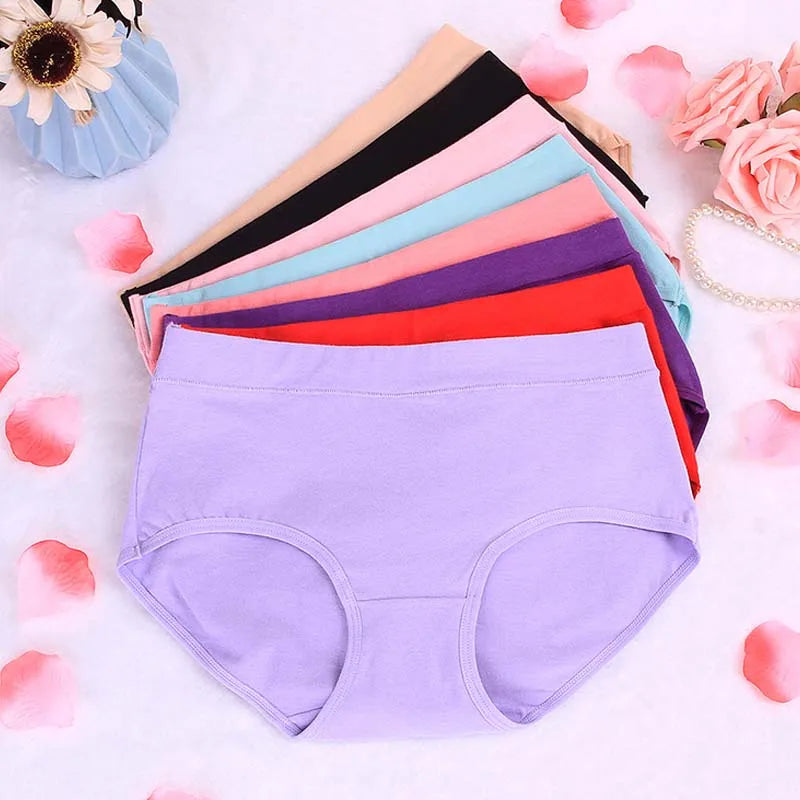 3 Paquete Bragas Talla Grande | Algodón Sin Costuras | Tico Trendy