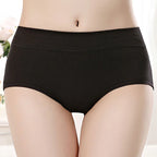 3 Paquete Bragas Talla Grande | Algodón Sin Costuras | Tico Trendy