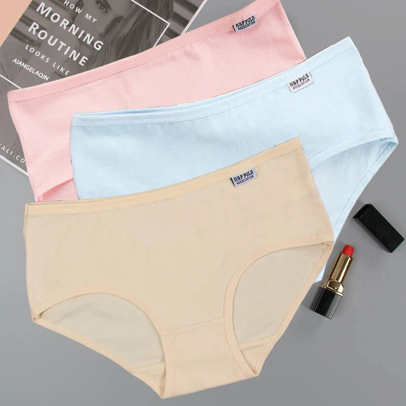 Bragas de Algodón Talla Grande | Set de 3 Piezas