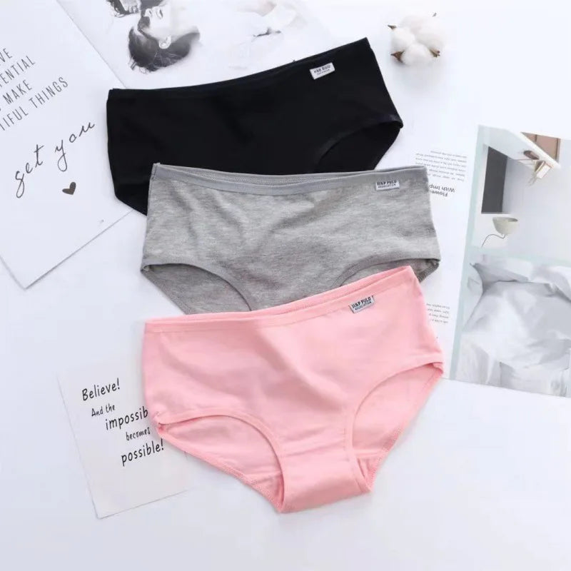 Bragas de Algodón Talla Grande | Set de 3 Piezas