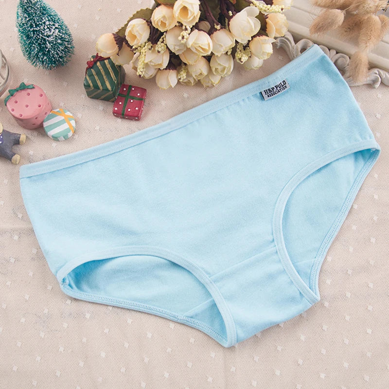 Bragas de Algodón Talla Grande | Set de 3 Piezas