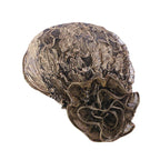 Turbante de encaje negro para mujer, gorro bajo bufanda, de flores grandes Hijab, sombreros musulmanes, gorro de flores, gorro de envoltura, sombreros islámicos, nuevo