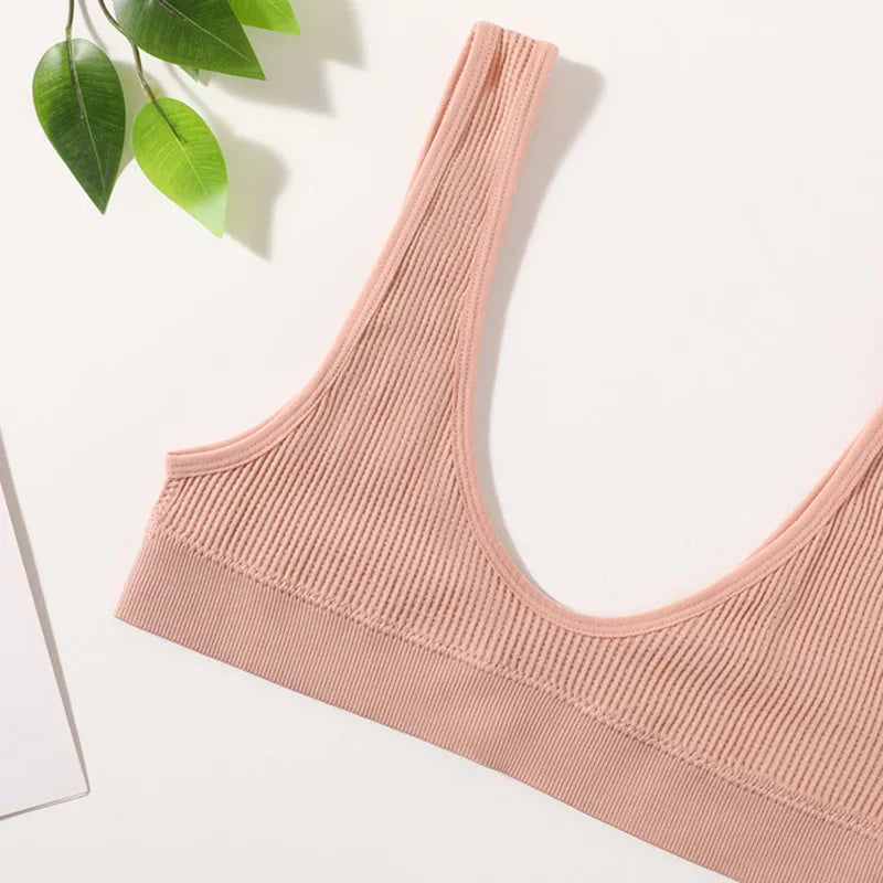 Top Tubo Encaje | Bralette Sin Costuras | Almohadillas Extraíbles | Ticotrendy