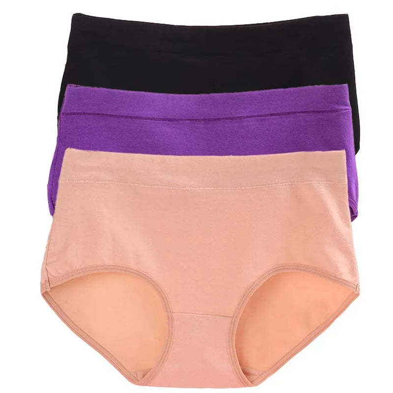 3 Paquete Bragas Talla Grande | Algodón Sin Costuras | Tico Trendy