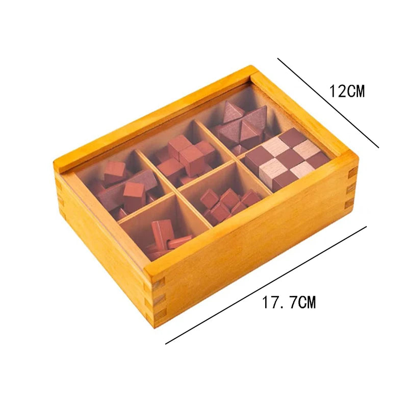 Rompecabezas IQ de Boutique, juegos de Fitness cerebral, rompecabezas para adultos y niños, juguetes educativos para la mente, regalos sorpresa, Idea creativa